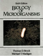 Biology <em>of</em> Microorganisms Sixth <em>Edition</em>