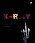 X-ray art : see through <em>the</em> <em>world</em> around you