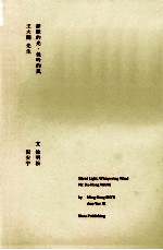 静默的光  低吟的风  王大闳先生