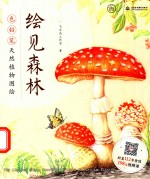 绘见森林  色铅笔天然植物图绘