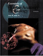 ESSENTIALS <em>OF</em> <em>HUMAN</em> <em>ANATOMY</em> PHYSIOLOGY FOUTH <em>EDITION</em>