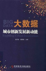 大数据  城市创新发展新动能
