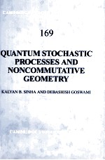 <em>QUANTUM</em> STOCHASTIC PROCESSES AND NONCOMMUTATIVE GEOMETRY
