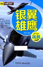 小眼百科  银翼雄鹰  战机