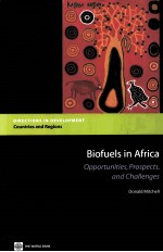 BIOFUELS <em>IN</em> AFRICA  OPPORTUNITIES，PROSPECTS，AND CHALLENGES