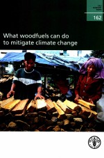 FAO FORESTRY PAPER 162:WHAT WOODFUELS C<em>AN</em> DO <em>TO</em> MITIGATE CLIMATE CH<em>AN</em>GE