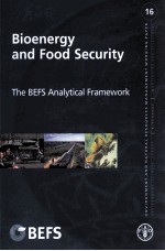 ENVIRONMENT AND NATURAL RESOURCES <em>MANAGEMENT</em> WORKING PAPER 16:BIOENERGY AND FOOD SECURITY THE BEFS A