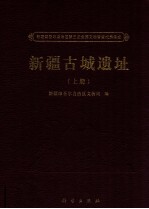 新疆古城遗址  上