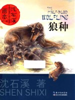 <em>沈</em>石溪画本  第2辑  狼种