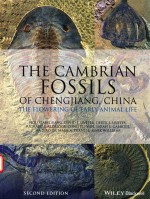 THE CAMBRIAN FOSSILS <em>OF</em> CHENGJIANG