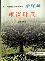 根深叶茂  基层组织建设实践篇