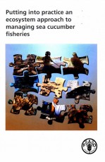 PUTTING INTO PRACTICE <em>AN</em> ECOSYSTEM <em>APPROACH</em> TO M<em>AN</em>AGING SEA CUCUMBER FISHERIES