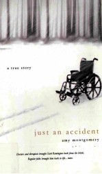 JUST AN ACCIDENT <em>BY</em> AMY MONTGOMERY