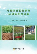 宁夏农业综合<em>开发</em>实用新技术选编