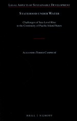 Statehood Under Water <em>Challenge</em>s of Sea-Level Rise <em>to</em> the Continuity of Pacific Island States
