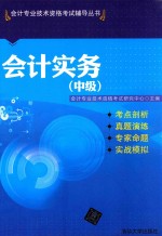<em>会计</em>实务  中级