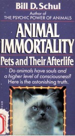 Animal immortality:A startling revelation <em>about</em> pets and their afterlife