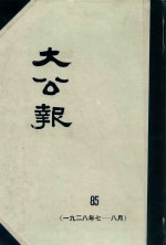 大公报  85  1928年7-8月