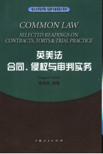 英美法  合同、侵权与审判实务