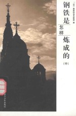 钢铁是怎样炼成的  中