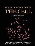 MO<em>LE</em>CULAR BIOLOGY OF THE CELL  SECOND EDITION