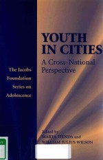 YOUTH <em>IN</em> CITIES A CROSS-NATIONAL PERSPECTIVE