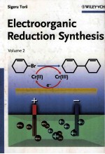 ELECTROORGANIC REDUCTION SYNTHESIS  <em>VOLUME</em> <em>2</em>