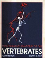 COMPARATIVE ANATOMY <em>OF</em> THE VERTEBRATES  <em>FOURTH</em> <em>EDITION</em>