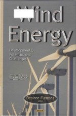 Wind energy <em>developments</em>