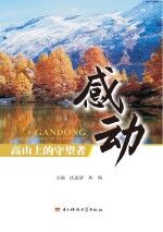 感动  高山<em>上的</em>守望者