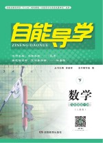 自能导<em>学</em>·数<em>学</em>  九年级全一册  人教版  下