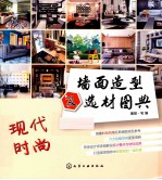 墙面造型及选材图典  现代时尚