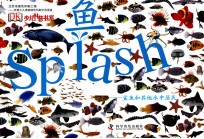 鱼  鲨鱼和其他水中居民