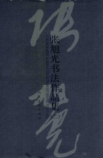 <em>张</em><em>旭光</em>书法作品集  2