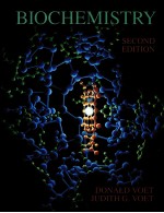 BIOCH<em>E</em>MISTRY  S<em>E</em>COND <em>E</em>DITION