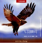 中国野生鸟类精彩图片选  第2卷  飞羽瞬间