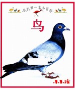 我的<em>第</em>一本小百科  鸟