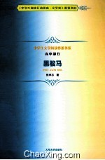 黑<em>骏马</em>