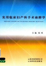 实用临床妇<em>产科</em><em>手术</em>麻醉学