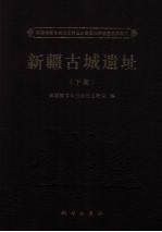 新疆古城遗址  下