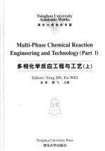 多相化学反应工程与工艺  上
