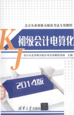 会计从业资格考试教材资格证  2015年无纸化考试专用<em>教程</em>  初级会计电算化