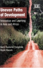 Uneven Paths <em>of</em> Development <em>In</em>novation and Learn<em>in</em>g <em>in</em> Asia and Africa