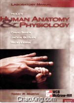 HOLE’S HU<em>MAN</em> ANATOMY AND PHYSIOLOGY  SEVENTH <em>EDITION</em>  <em>LABORATORY</em> <em><em>MAN</em>UAL</em>