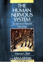 THE HUMAN NERVOUS SYSTEM  AN ANATOMICAL VIEWPOINT  <em>FIFTH</em> <em>EDITION</em>