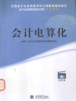 锐志会计从业资格无纸化考试无师自通  会计电算化