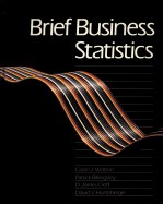 <em>BRIEF</em> BUSINESS STATISTICS