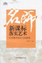名师新课标落实艺术  小学数学综合与实践卷