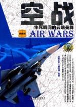 空战  生死瞬间的云端曼舞