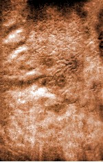 宋大家苏文忠公<em>文钞</em>  <em>卷</em>1-<em>2</em>